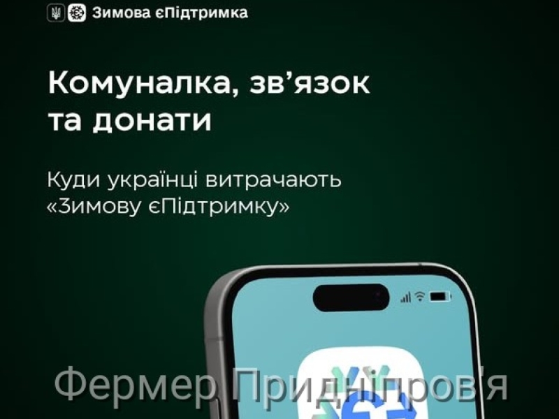Найбільше коштів «Зимової єПідтримки» українці витратили на комуналку