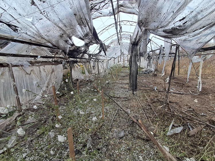 Окупанти знову гатили по мирним людям Нікопольщини: загинула літня жінка