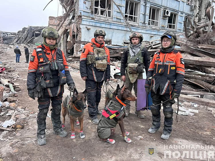 Пошукові собаки з Павлограда допомогли знайти під завалами тіло загиблого внаслідок атаки на Запоріжжя