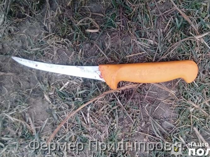 Чоловік колов свиню та ненароком заколов себе