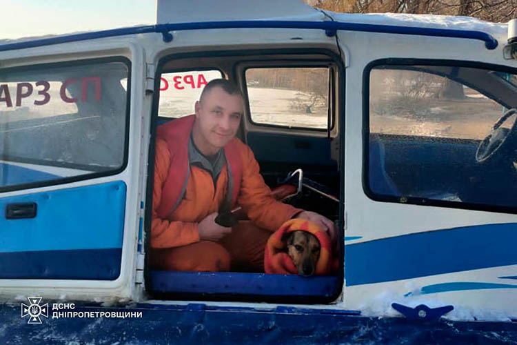 У Дніпрі врятували чотирилапого, який опинився у крижаній воді