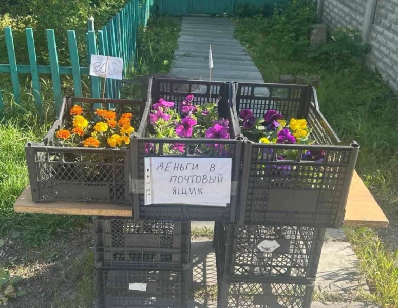 Що безпечніше - банківський термінал чи... поштова скринька?