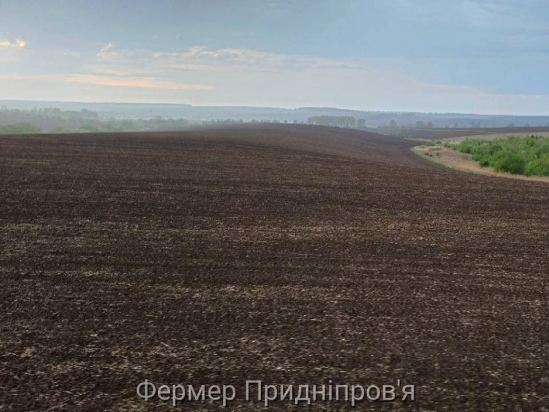532 земельні ділянки в 14 областях України доступні для суборенди 