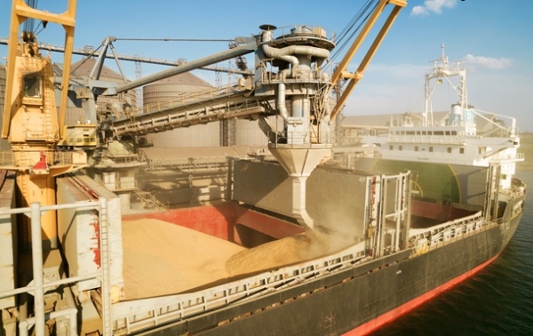 Україна скоротила експорт агропродукції на понад 23% - УКАБ