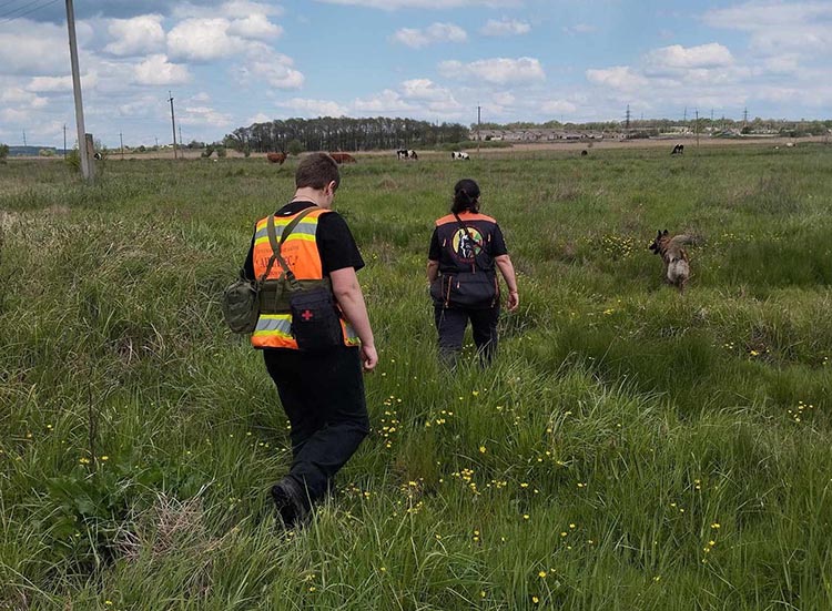 На Дніпропетровщині врятували 86-річну бабусю, яка пролежала у лісосмузі майже добу