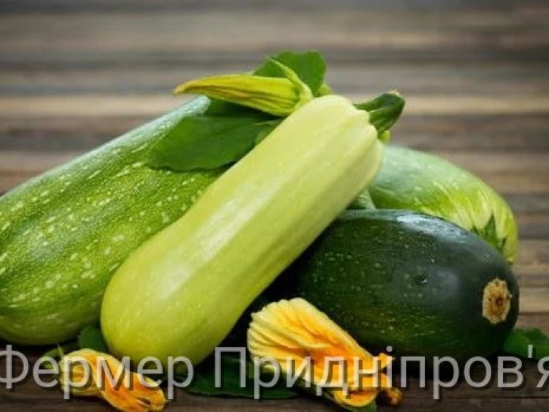 Партію свіжих кабачків з Туреччини знищили у Вінницькій області