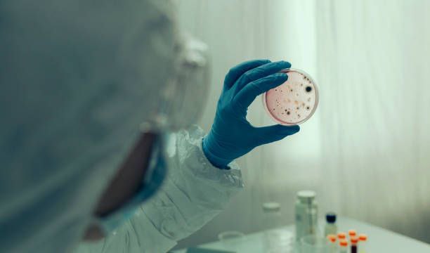 Хвороби, які переважають у нашій області: статистика за тиждень