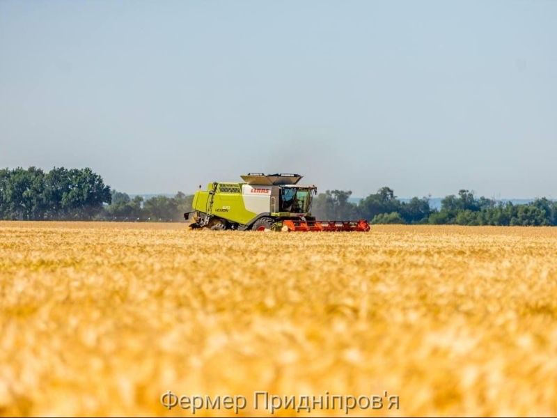 Миколаївщина і Одещина жнивують