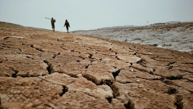 Проблеми посухи та опустелювання критичного значення набувають саме для України
