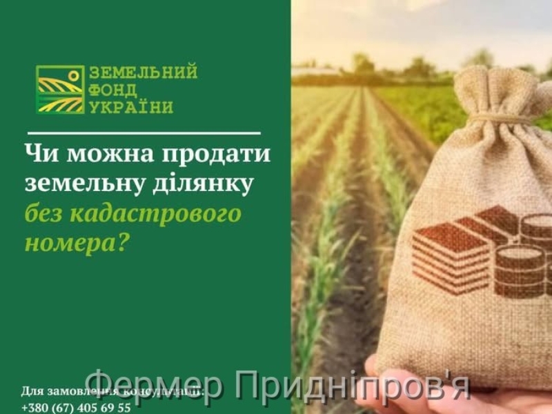 Чи можна продати земельну ділянку без кадастрового номера?