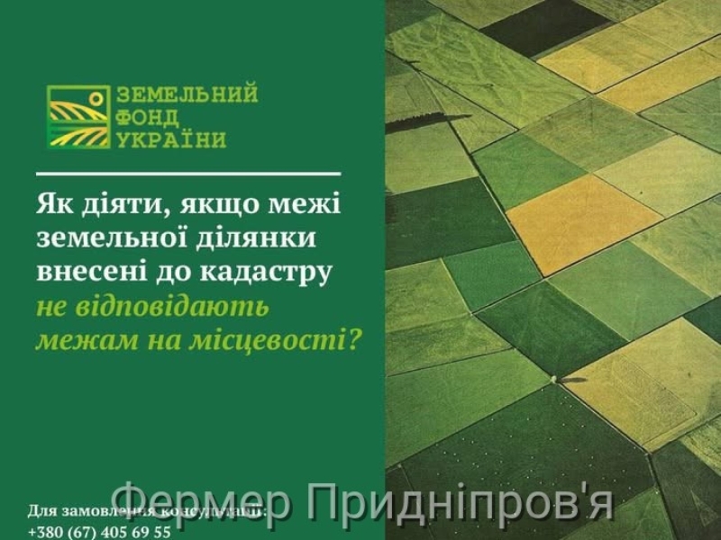 Як діяти, якщо межі земельної ділянки внесені до кадастру не відповідають межам на місцевості?