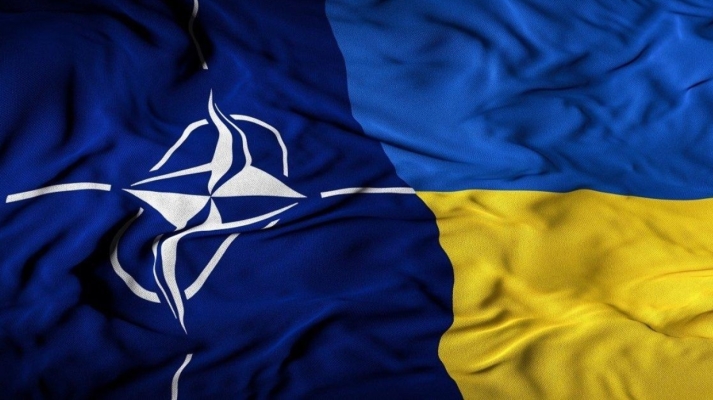 Північноатлантична рада на чолі з Рютте обговорила процес мирного врегулювання в Україні 