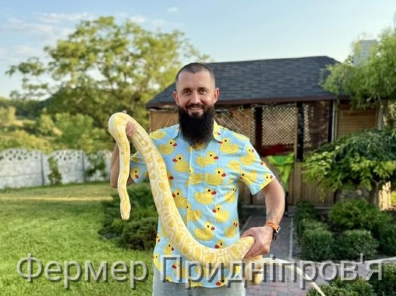 Сільське господарство різноманітне