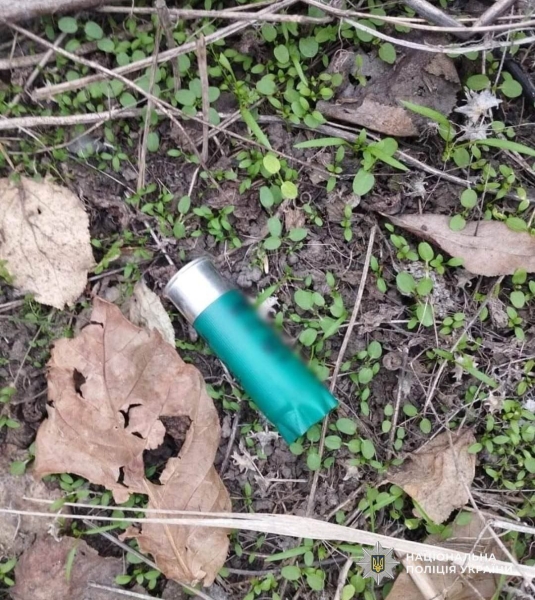 У Кам’янському районі винесли вирок чоловіку, який застрелив знайомого