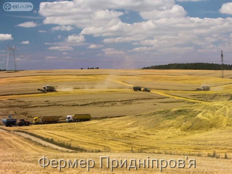 Волинь зібрала понад мільйон тонн зерна нового врожаю